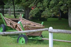 Obóz Tenisowy 1 (23)