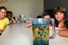 69035449_408551083343205_2757464438205317120_n